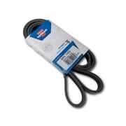 Serpentine Drive Belt Suit Dodge Journey 3.6ltr ERB V6 JC 2012-On