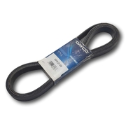 Multirib Serpentine Drive Belt suit Ford F250 7.3ltr V8 Diesel 2001-2007