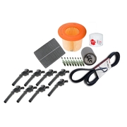 Filter Coil Service Kit suit Ford Falcon XR8 5.4ltr Boss 260 V8 BA BF 2003-2008