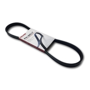 Serpentine Engine Drive Belt suit Holden TS Astra 1.8ltr X18XE Z18XE 1998-2006