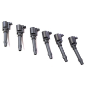 Ford Falcon Set of 6 Ignition Coil 4ltr 6cyl BA Sedan 2002-2005 *MVP*