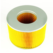 Air Filter to suit Toyota Landcruiser 4.5L 1998-2003 