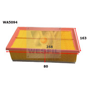 Air Filter to suit Citroen DS4 2.0L Hdi 03/16-on 