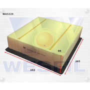 Air Filter to suit Ford F150 3.5L V6 2011-on 