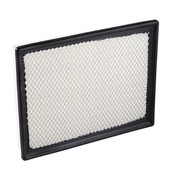 Air Filter to suit Holden Crewman 6.0L V8 02/06-08/07 
