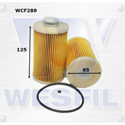 Fuel Filter to suit Honda CRV 2.2L TD 01/14-on 