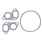 Water Pump Gasket Set Holden VT VX VU VY VZ Commodore 5.7l Gen3 LS1 V8