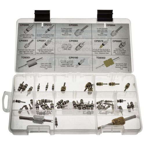 51 Piece Assorted Schrader Valve Kit