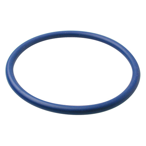 Fuel Pump Tank Seal Suit Holden Commodore 5ltr 304 V8 VT Sedan 1997-1999