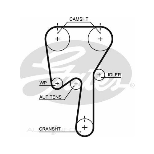 Gates brand Timing Belt - Part# T311