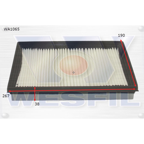 Air Filter to suit Kia Carnival Van 2.5L V6 09/99-02/07 