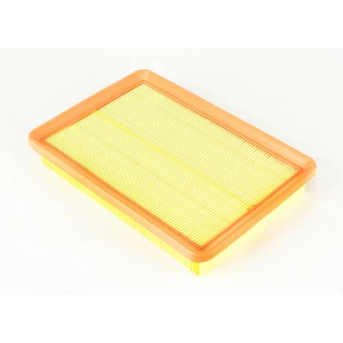 Air Filter to suit Hyundai Elantra 2.0L 10/00-02/07 