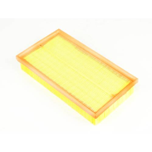Air Filter to suit Ford Focus 2.0L 09/02-04/05 