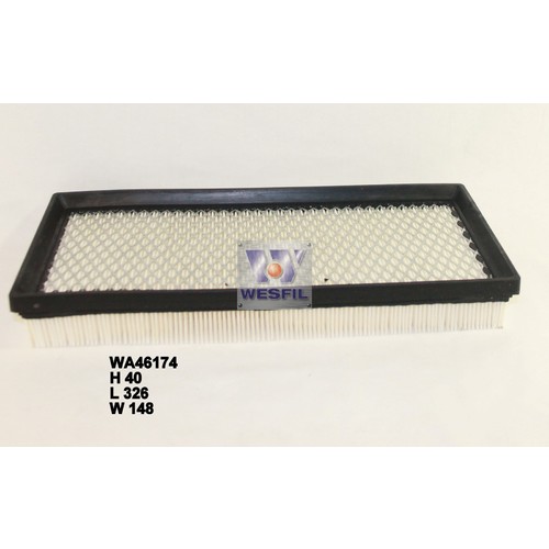Air Filter to suit Ford F150 5.8L V8 01/90-1993 