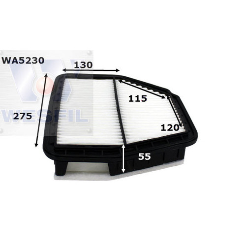 Air Filter to suit Holden Captiva 2.2L TD 12/12-on 