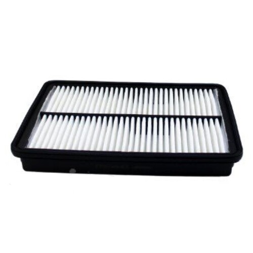 Air Filter to suit Hyundai Santa Fe 2.2L CRDi 09/12-on 