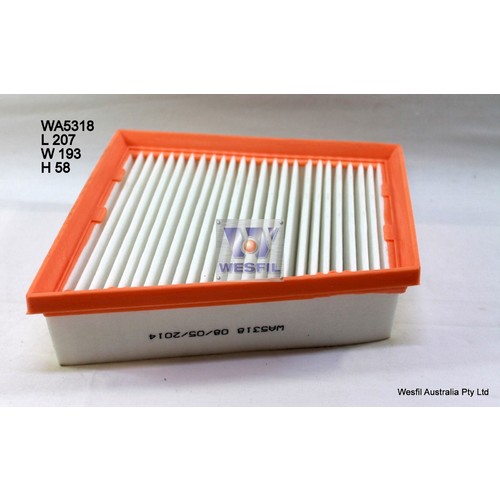 Air Filter to suit Renault Megane 2.0L 09/10-on 