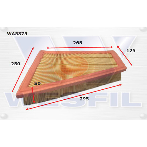 Air Filter to suit BMW Z4 2.0L 10/11-on 